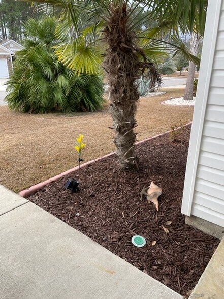 looking out into front yard from front porch - 824 Wintercreeper Dr