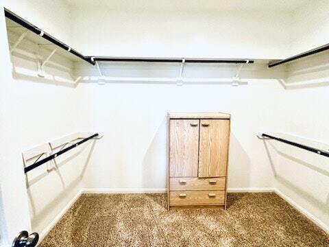 Building Photo - 3207 Planters Peak Dr