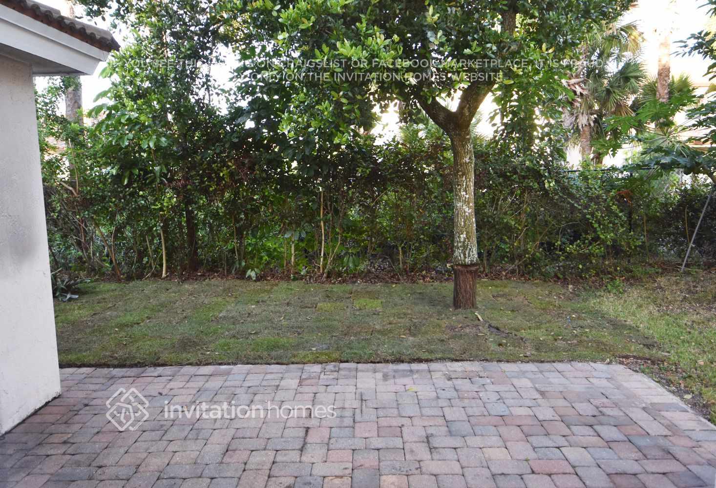 Building Photo - 541 Alejandro Ln