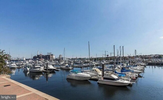 Building Photo - 100 Harborview Dr