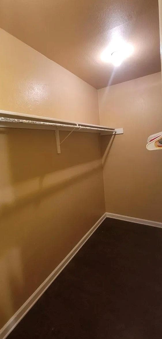 Building Photo - 5516 Boca Raton Blvd