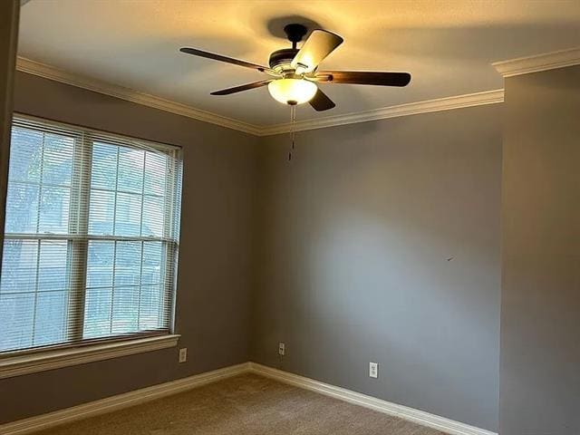 Building Photo - 3407 Shenandoah St