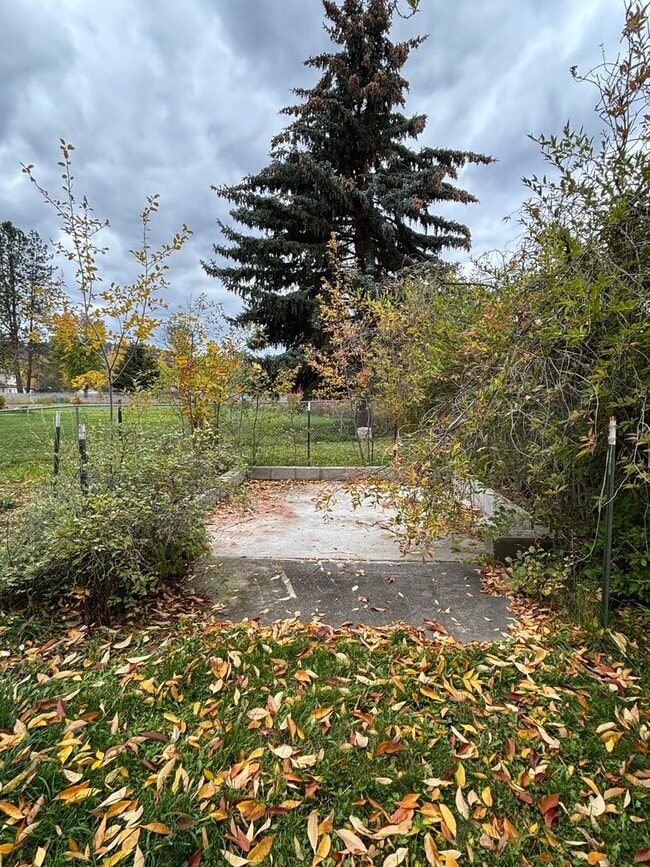 Building Photo - Spacious 4BR, 2.5BA home on 1.3 acres in Orchard Homes