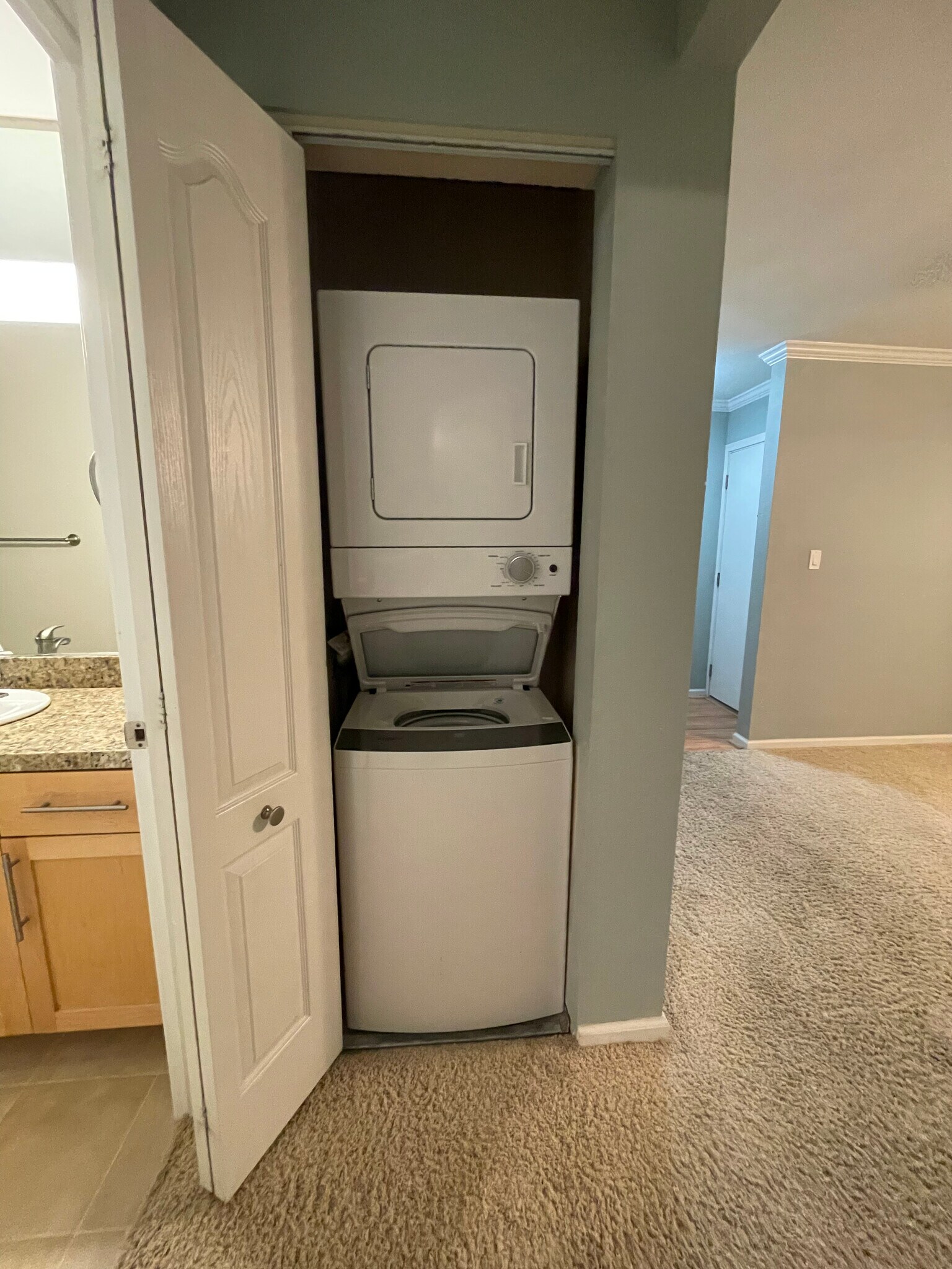 In-Unit Washer/Dryer, New 2020 - 231 Masters Ct