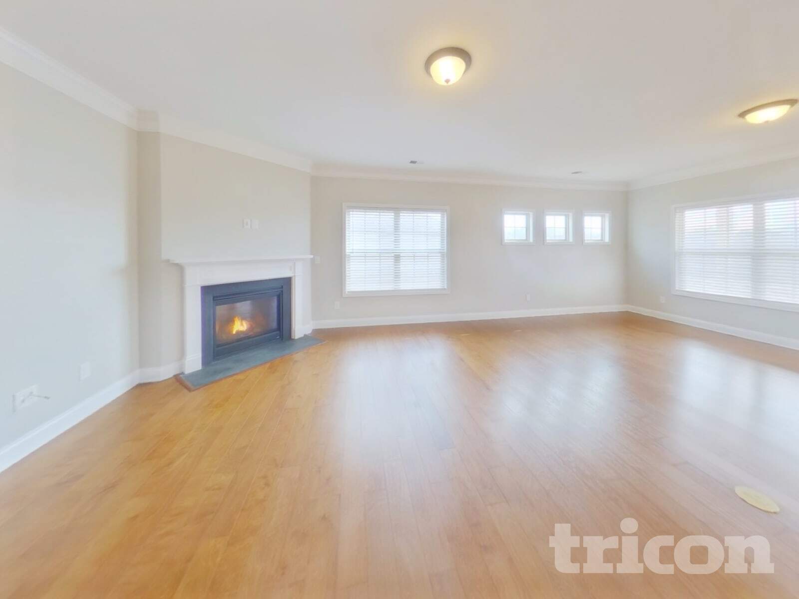 Building Photo - 910 Deepwood Ct