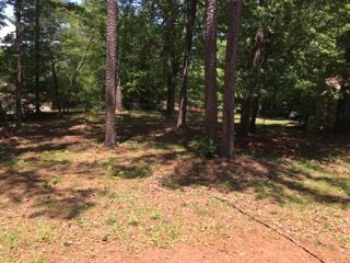 Building Photo - Beautiful 4BR/2BA home nestled in a quiet Ellenwood GA