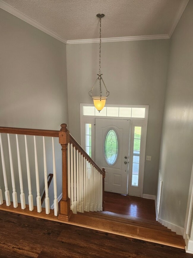 Building Photo - Spacious 4 Bedroom 3 bath in Hamilton on Hunter Subdivision