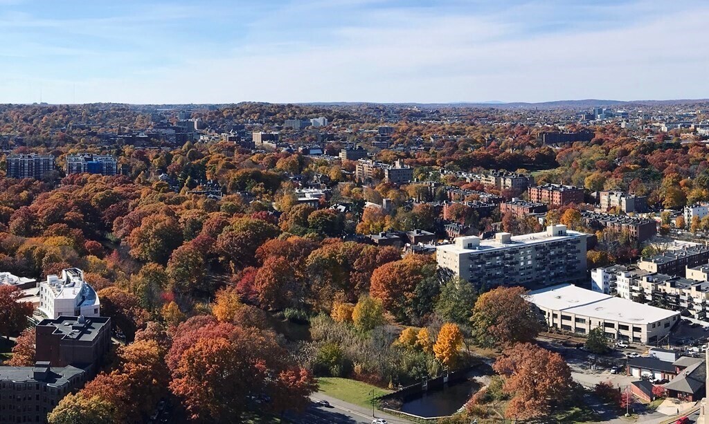 Building Photo - 188 Brookline Ave