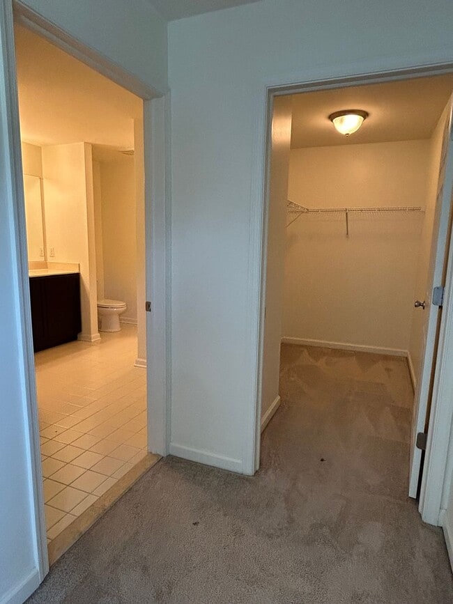 Building Photo - 106 Sirius Dr