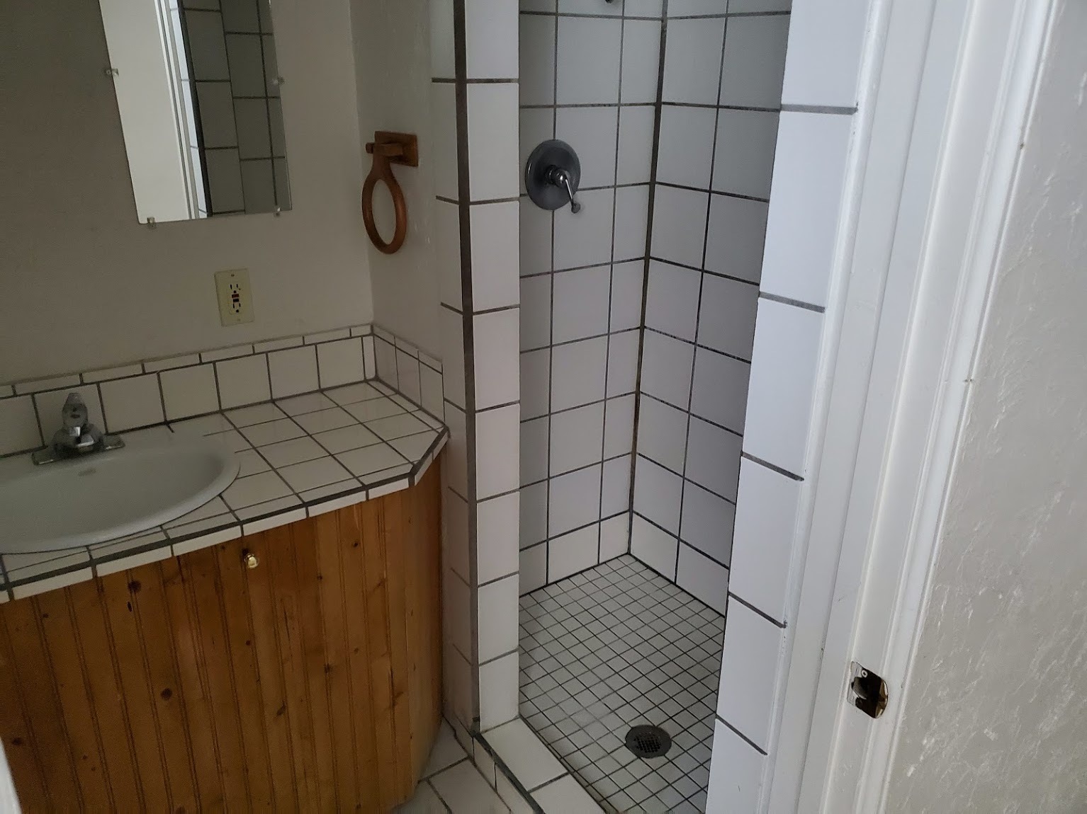 Downstairs bathroom view 1 - 424 W Benton St