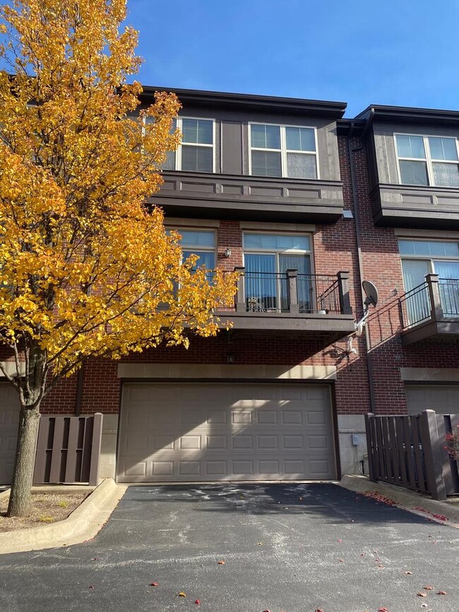 Building Photo - 708 Telluride Ct