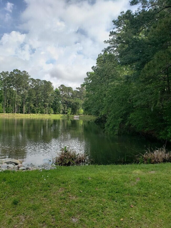 Building Photo - Lakeside Serenity Meets Lowcountry Charm!