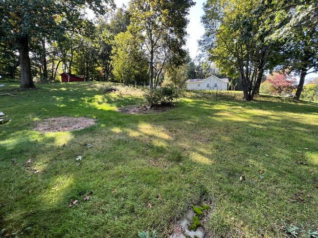 Rear yard - 535 Bunker Hill Ave