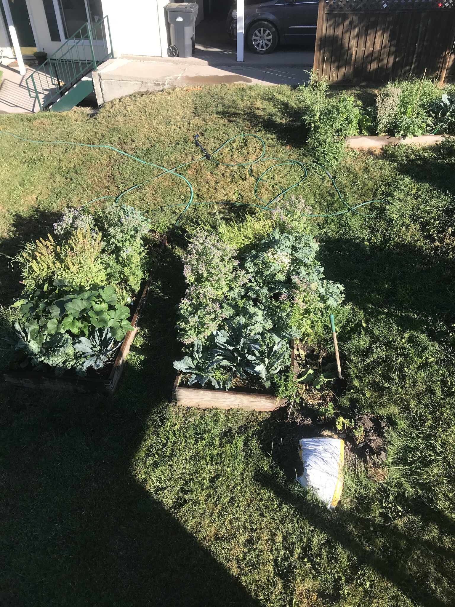 Organic gardening summer - 630 Chestnut St