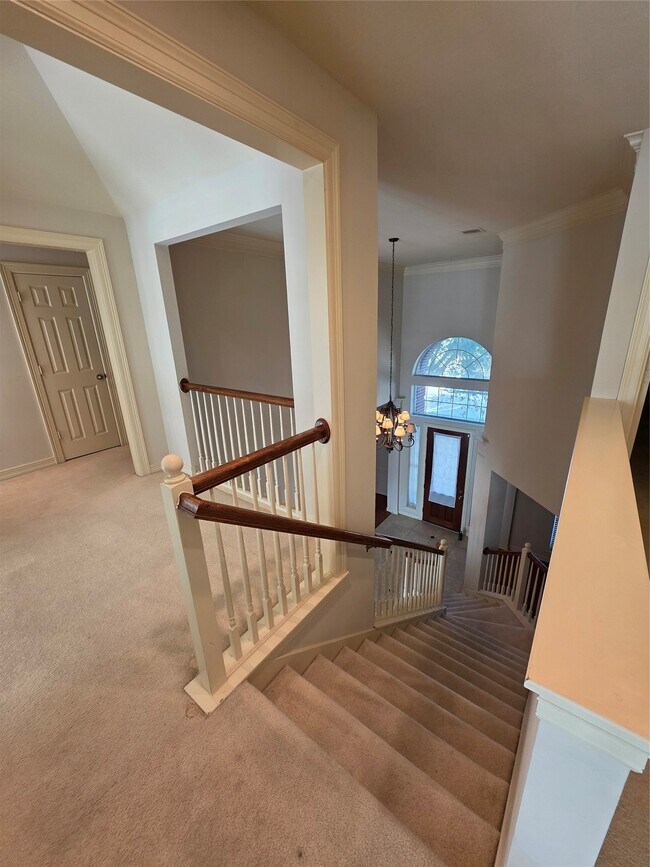 Building Photo - 7006 Paxton Ct