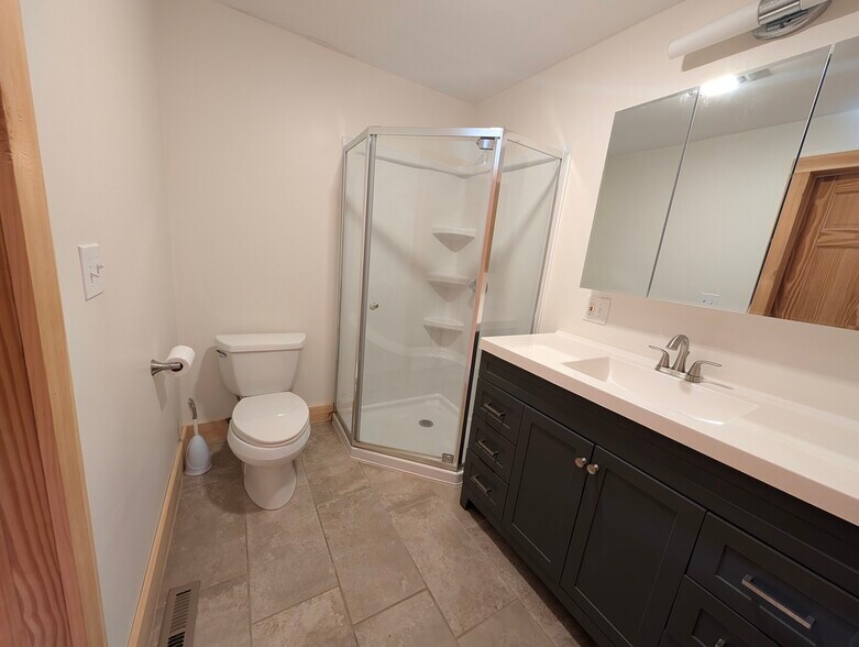 Downstairs bathroom - 336 Spring Ave
