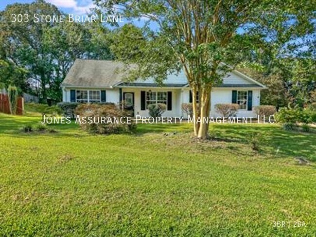 Building Photo - 303 Stone Briar Lane-