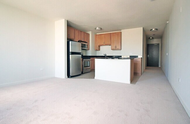 Building Photo - 539 W Kinzie St