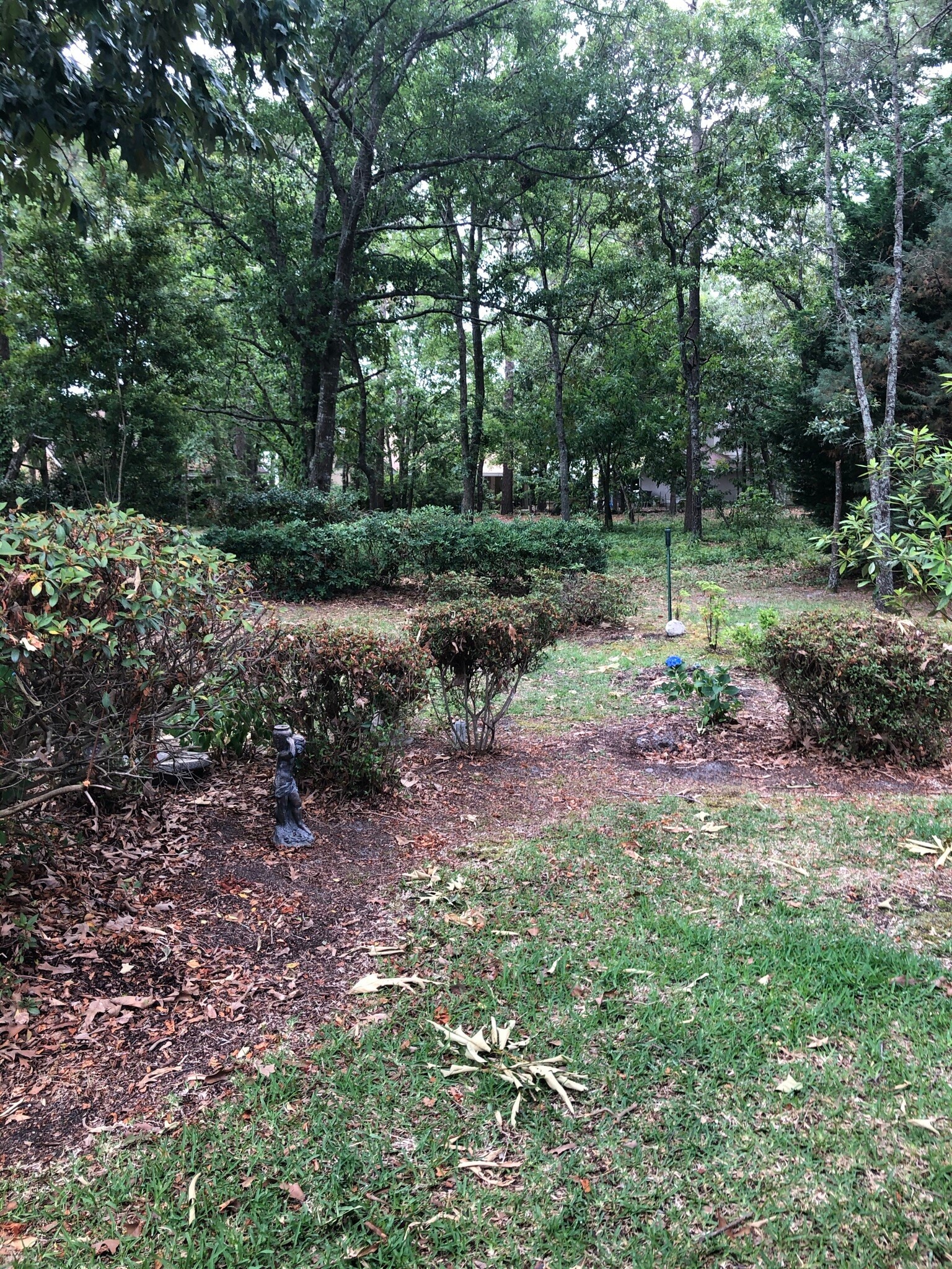 Landscape has been done over - 2067 Ayershire Ln