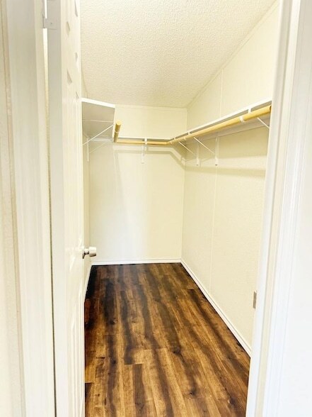 Building Photo - 2709 Co Rd 463