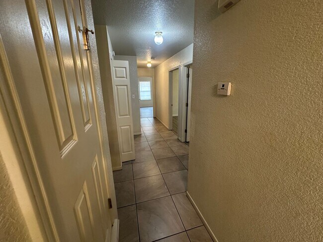 Building Photo - 2609 Vernice Loop