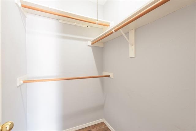 Building Photo - 3104 Harbinger Ln