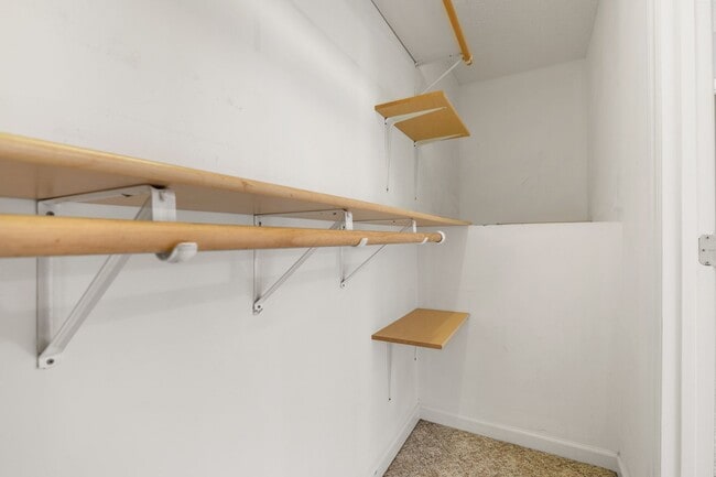 Building Photo - 4312 Pine Springs Ct
