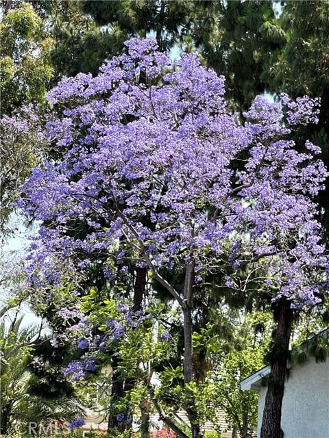 Building Photo - 3 Rushingwind