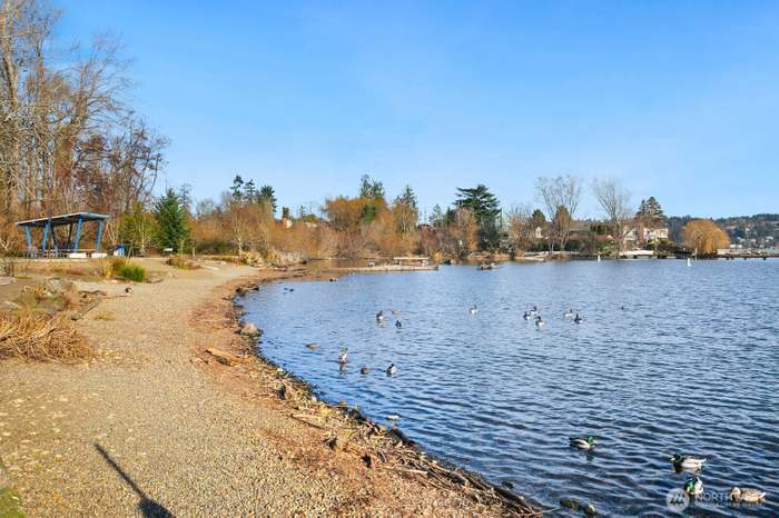 Next to lake Park and walking distance to Seward Park - 9030 Seward Park Ave S