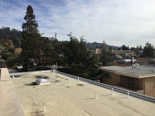 Building Photo - Gorgeous, Massive, 1BR/1BA, Fully Updated, 1000sqft+, A+++ Location, Parking Included
