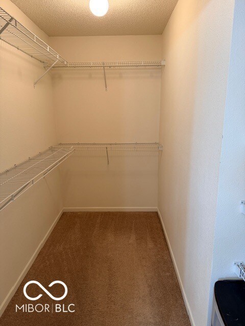 Building Photo - 2992 Sentiment Ln