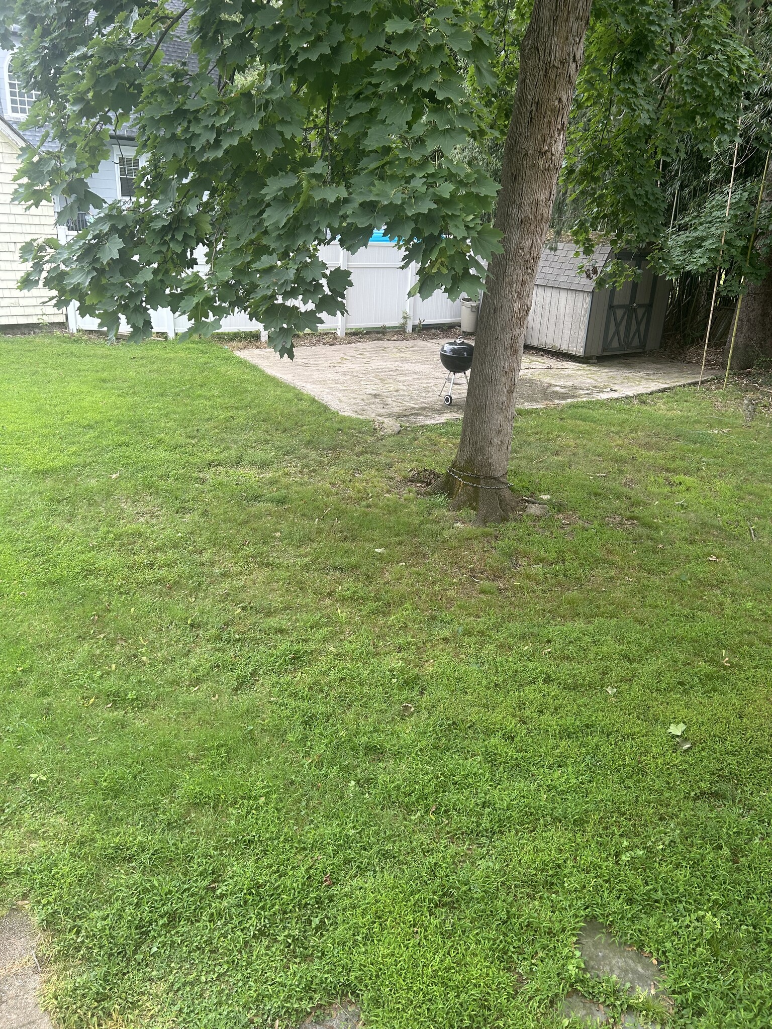 Yard - 821 Webster Pl