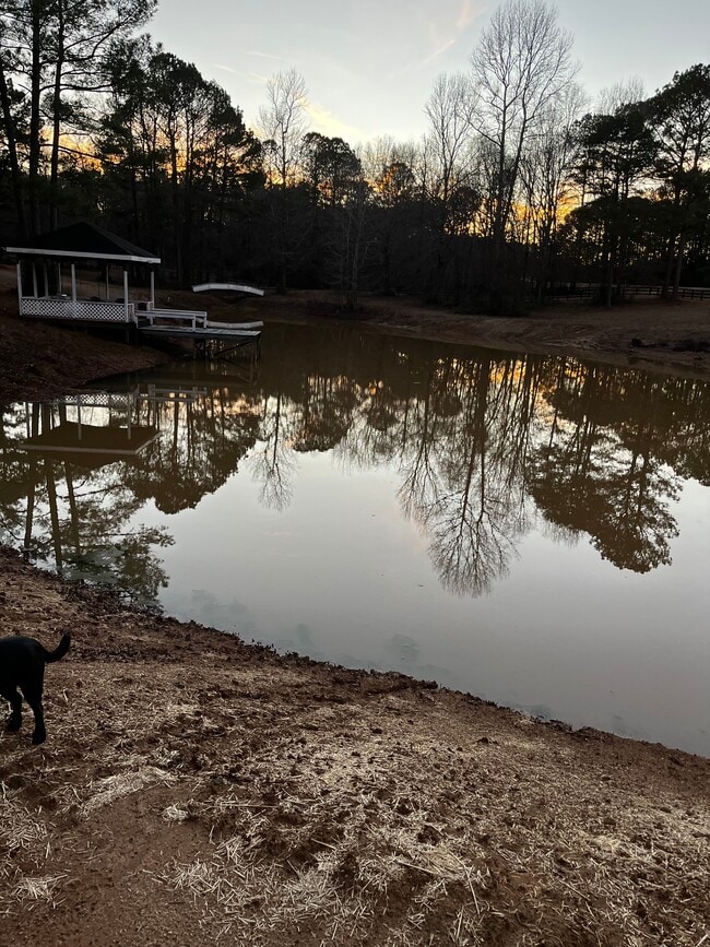 Building Photo - 9888 Whitehouse Pkwy