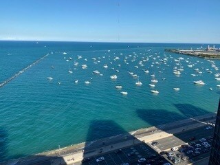 Building Photo - 910 N Lake Shore Dr