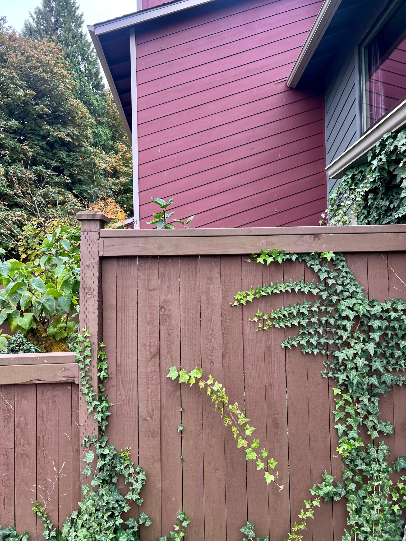 deck - 25040 Lake Fenwick Rd