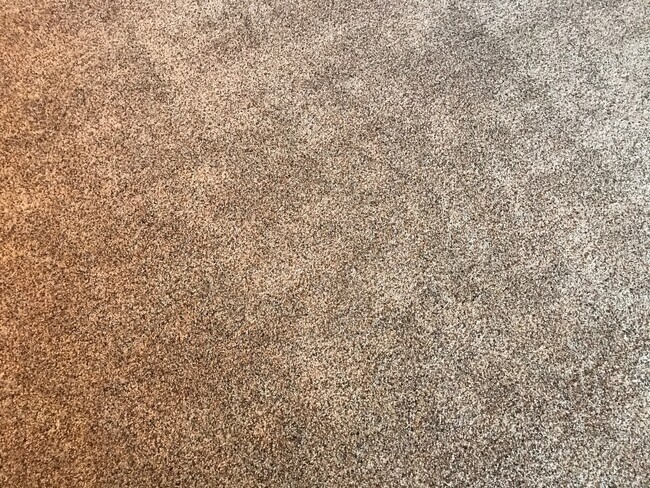 Building Photo - 42825 Lilley Pointe Dr