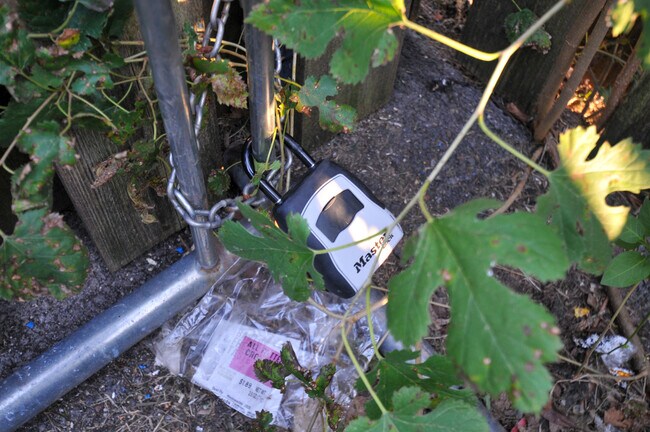 Building Photo - 254 George St