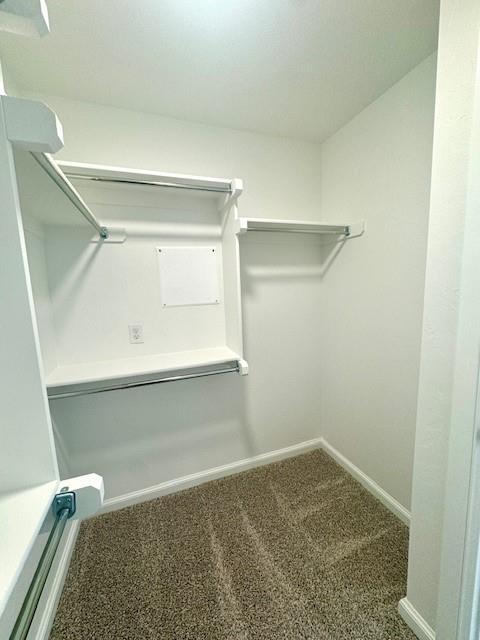 Building Photo - 3125 Gunnison River Dr