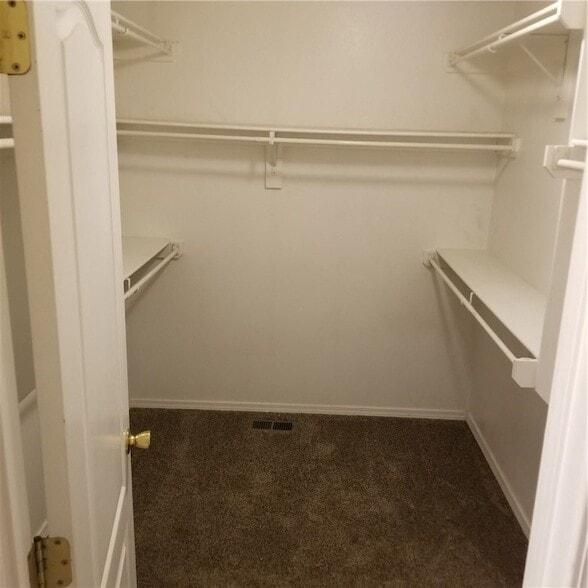 Building Photo - 2221 Skyler Dr