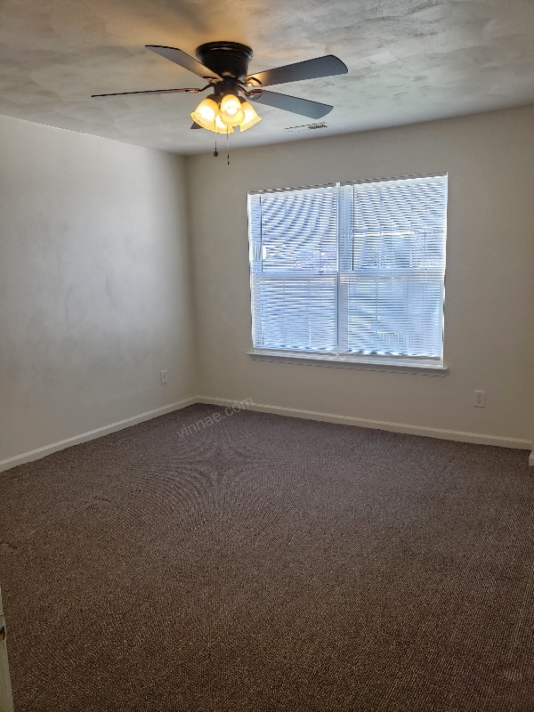 Building Photo - 805 Shadowberry Crest