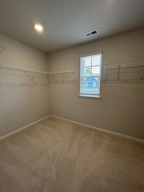 Building Photo - 1651 KIlldeer Ln