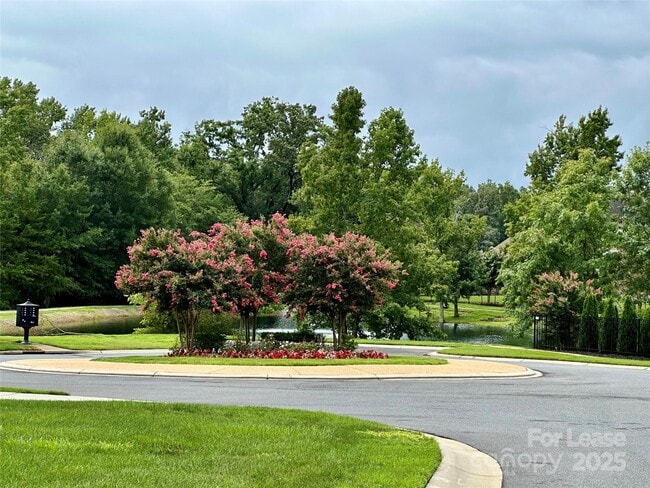 Building Photo - 929 Terramore Ln
