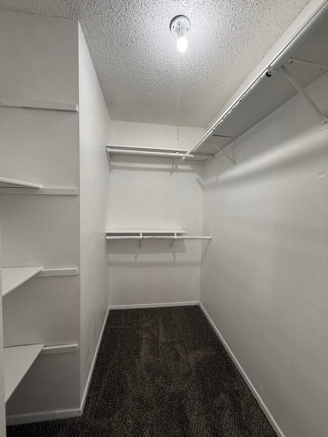 Building Photo - 4309 53rd St