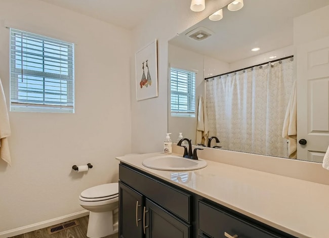 Building Photo - 10003 Yampa Ct