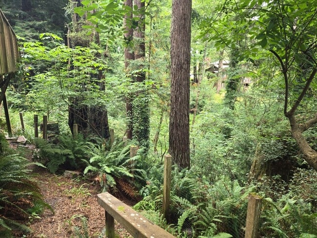Building Photo - Pet Friendly! Redwood views! 3-bedroom hom...