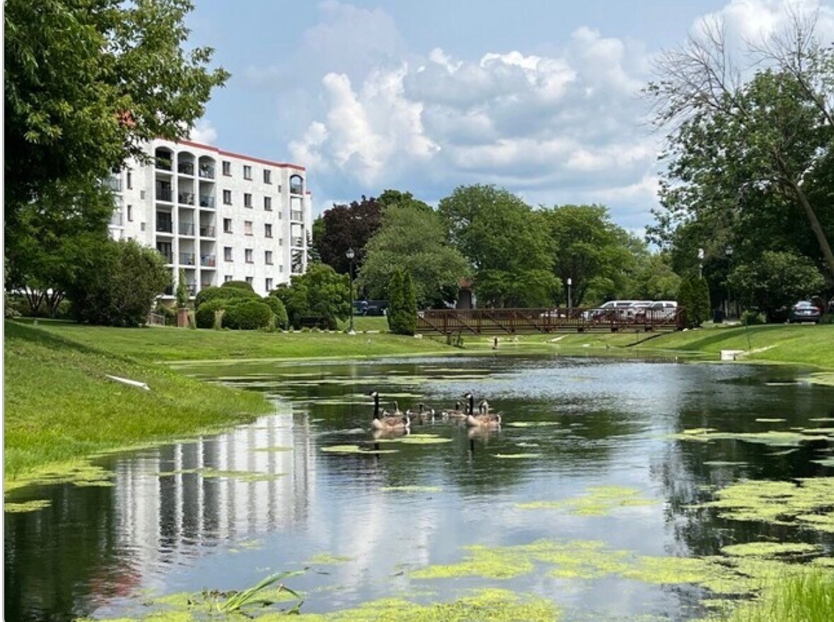 Building Photo - 450 Plum Creek Dr