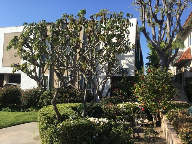 Building Photo - 3521 Mentone Ave