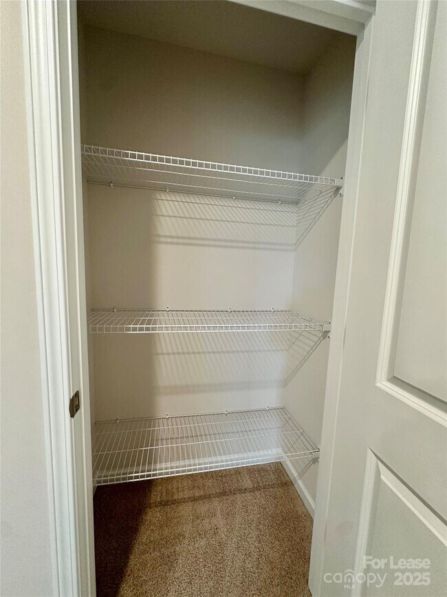 Building Photo - 1605 Blue Velvet Ln