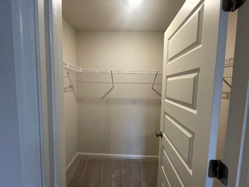 Building Photo - 1720 Manuka Ln