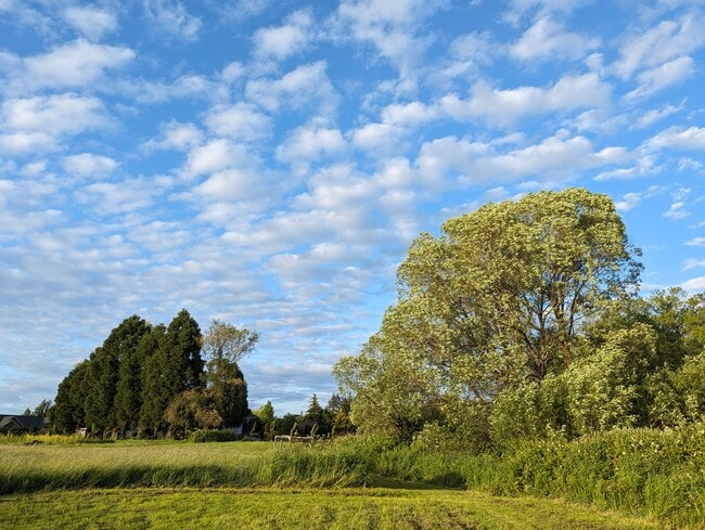Building Photo - Farm House A